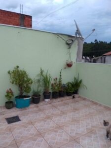 capa-0_05072019183404