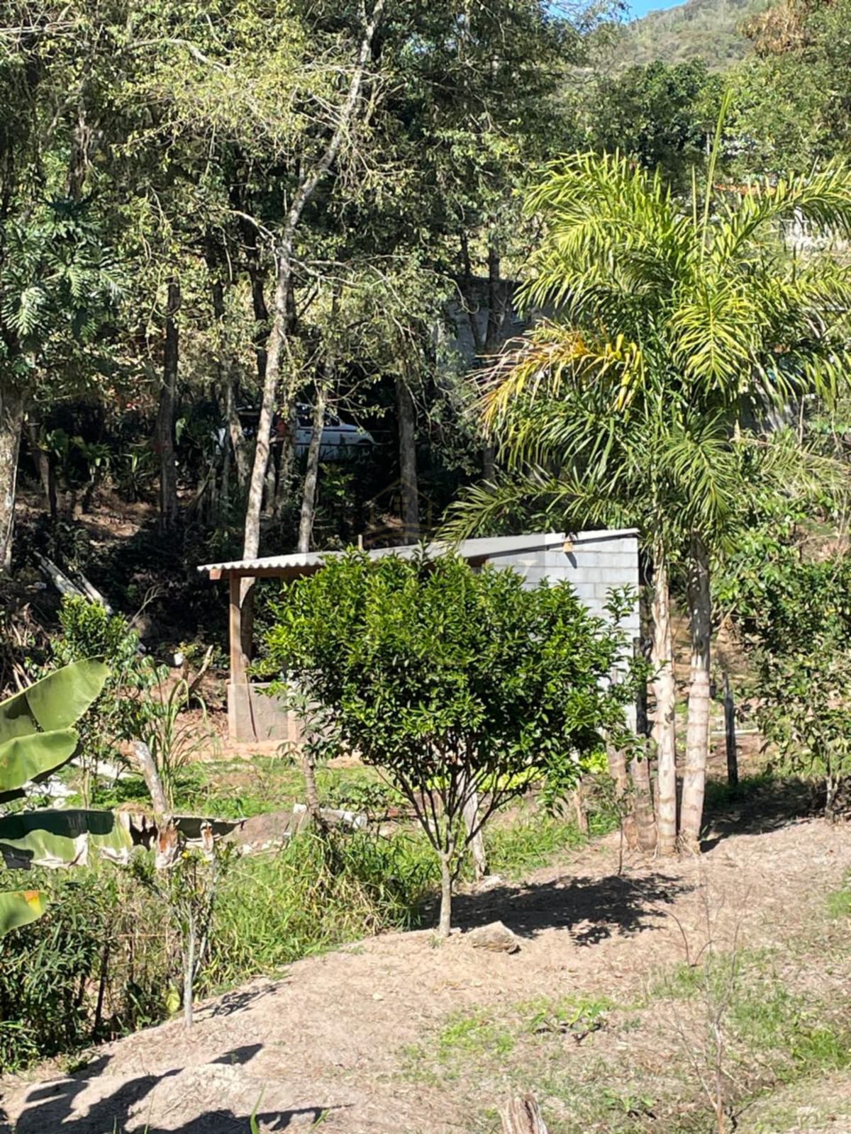 Chácara – Serra de Laranjeiras – Caieiras – COD: C 01243