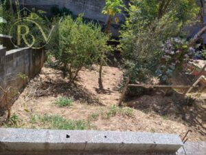 Photo_1732734177355