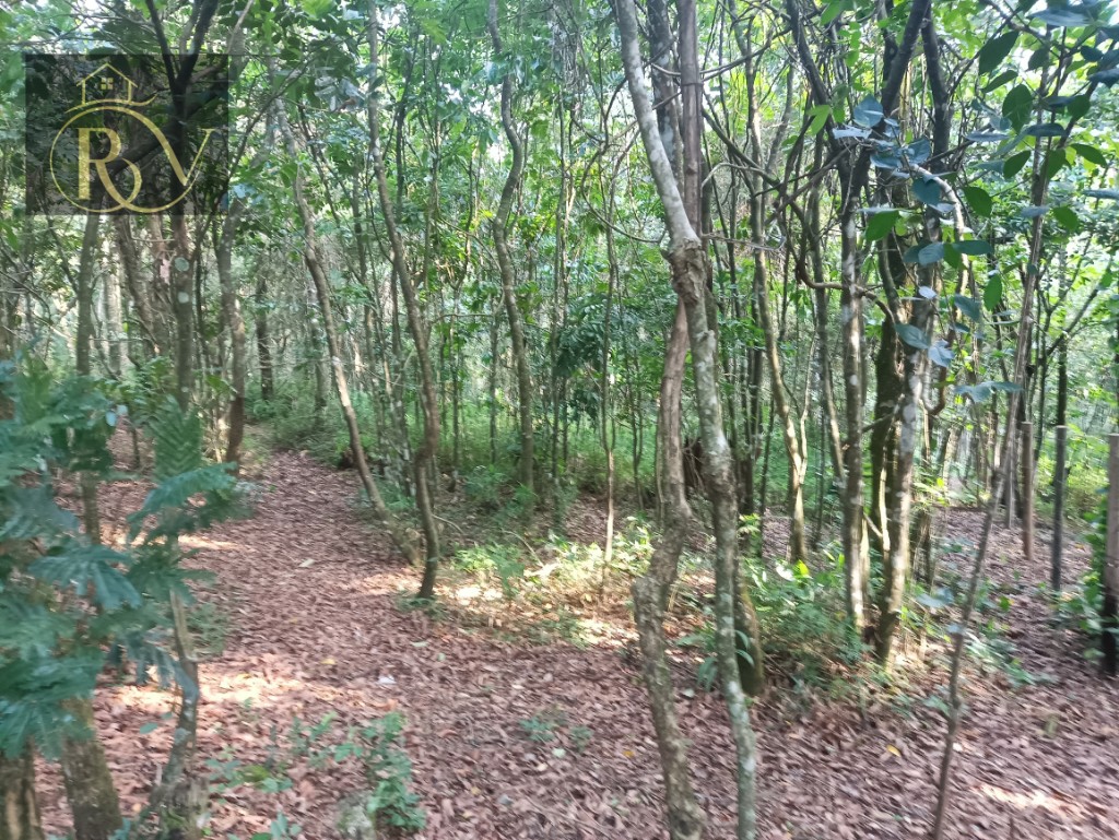 Terreno – Pq Suiça – Caieiras – COD: PS001