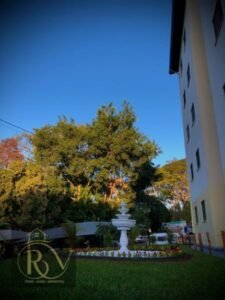 Photo_1752002157488